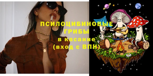 молекула духа Михайловск