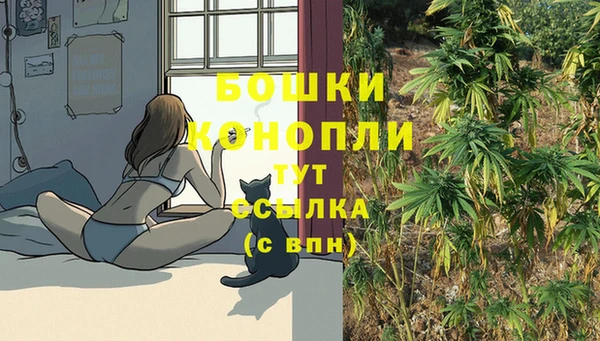 молекула духа Михайловск
