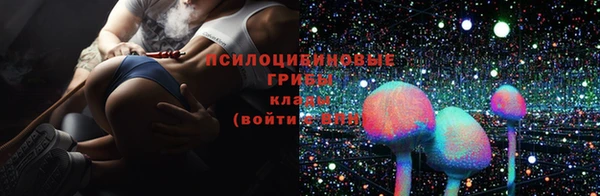 молекула духа Михайловск