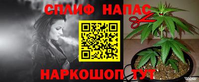 дживик Будённовск