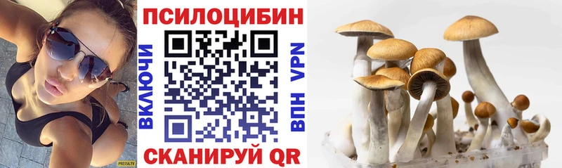 Галлюциногенные грибы MAGIC MUSHROOMS  мега tor  Белорецк  что такое наркотик 