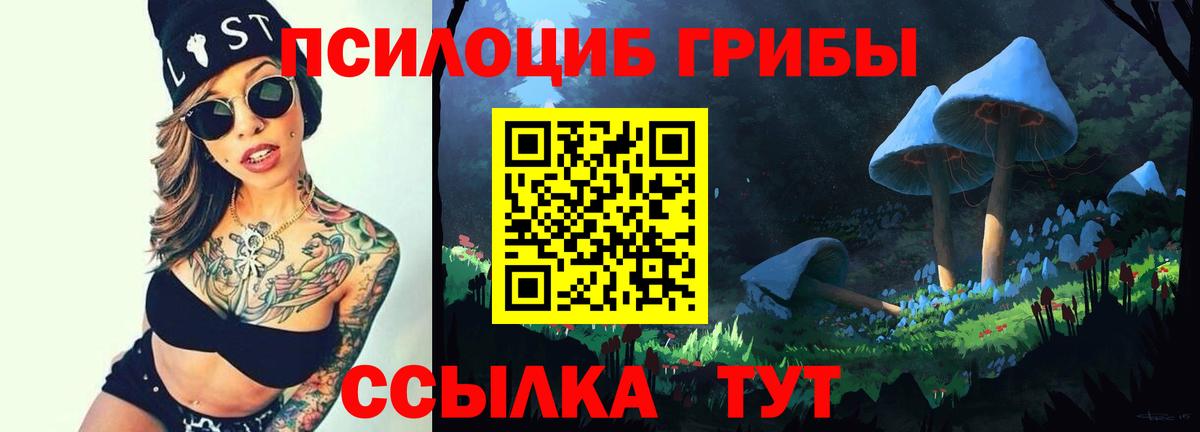 Галлюциногенные грибы прущие грибы  Белорецк 