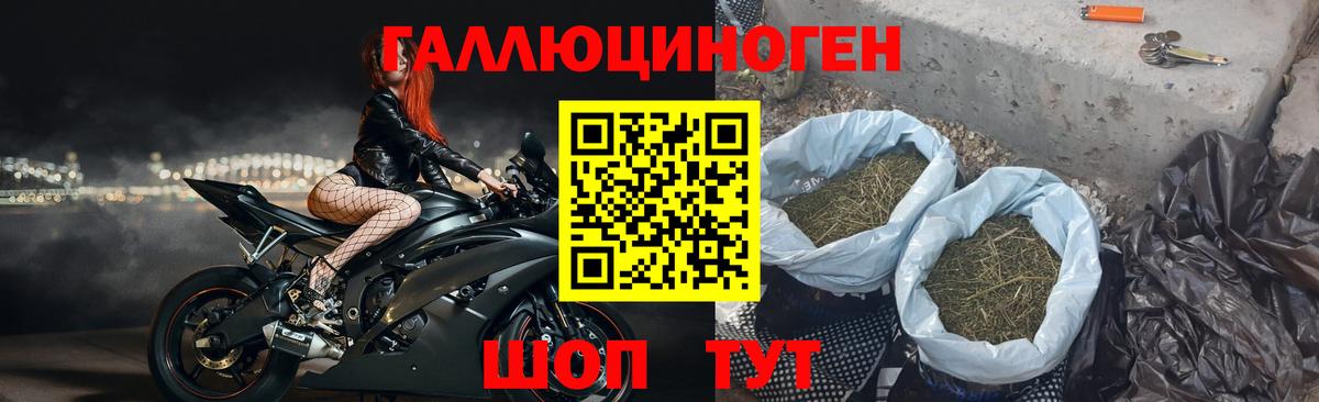 Псилоцибиновые грибы мухоморы Белорецк