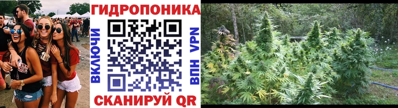 Каннабис OG Kush  Белорецк 